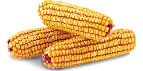 Corn Cobs