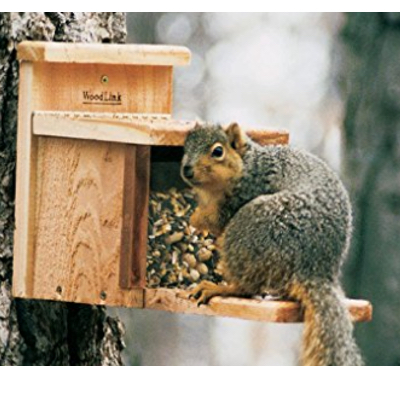 Squirrel Munch Box