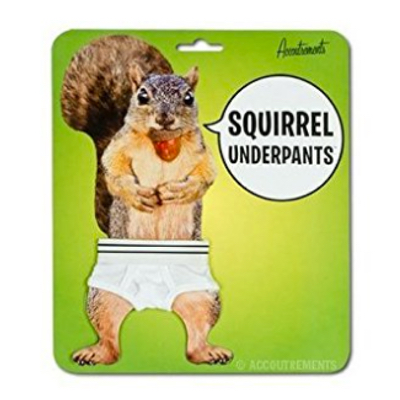 Squirrel Underpants